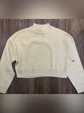 Small Oat H&M sweater